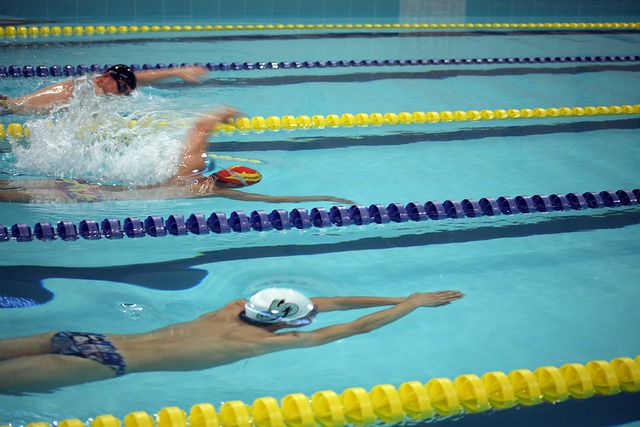 阿森纳的球 阿森纳的球