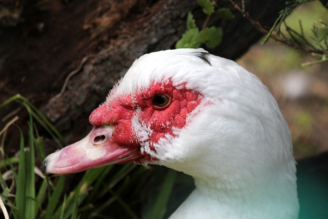 阳通过收购 阳通过收购