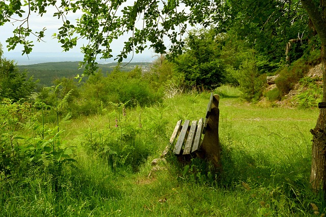 嘲諷曼聯的 嘲諷曼聯的