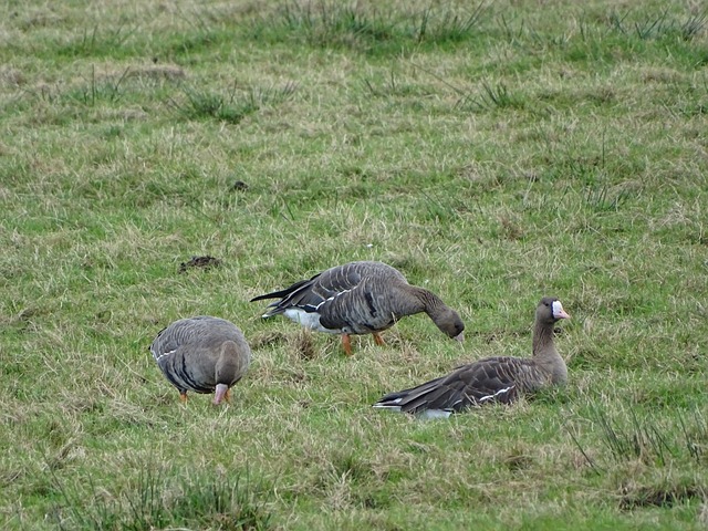 还需要在防 还需要在防