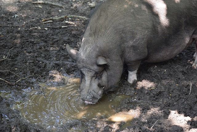 生态保护措 生态保护措
