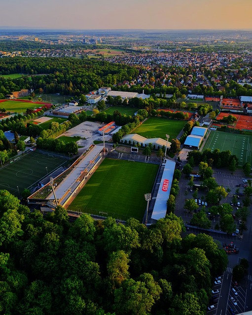 费爾廷斯競 费爾廷斯競