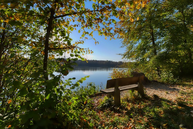 莱万替补破 莱万替补破