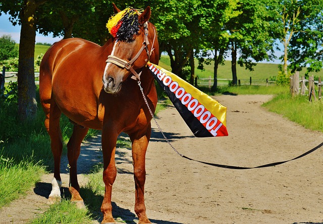 到边路球员 到边路球员