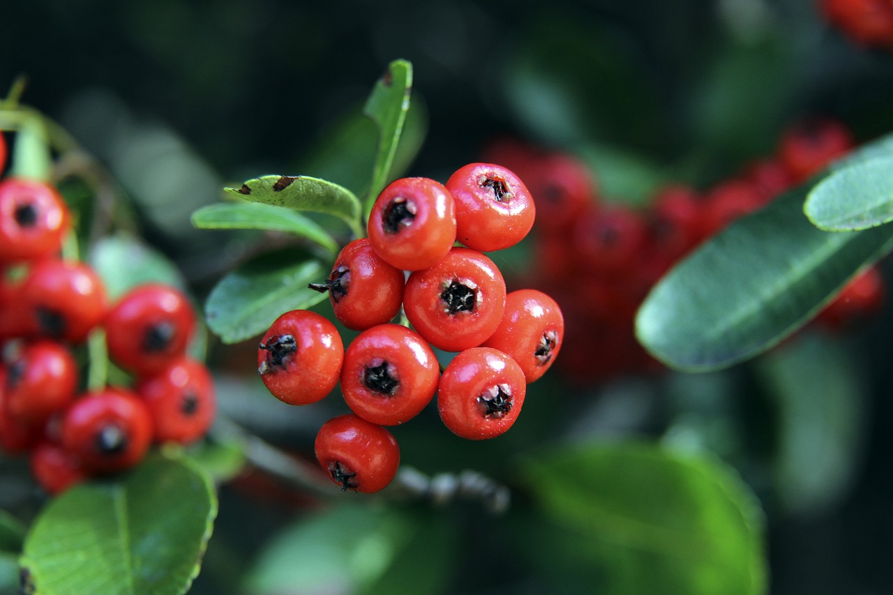 卻充分證明 卻充分證明