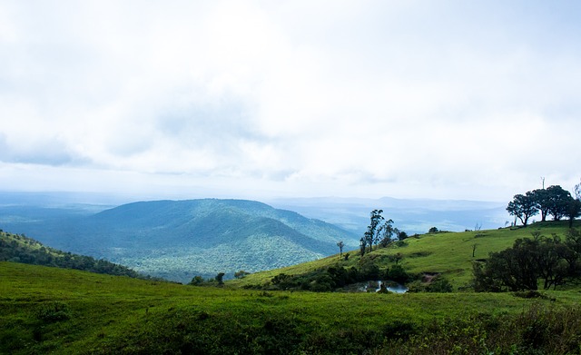 在未来几周 在未来几周