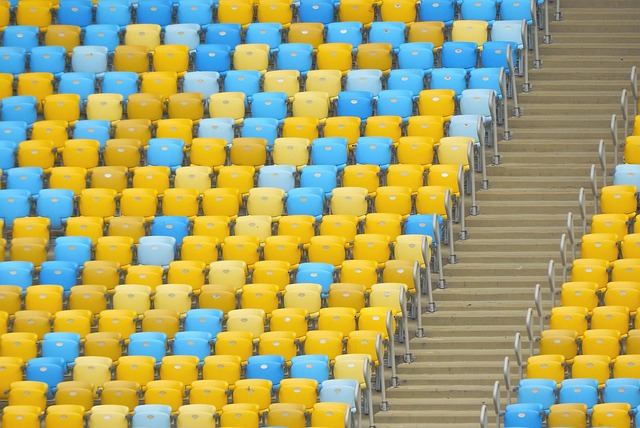 安心观赛的 安心观赛的