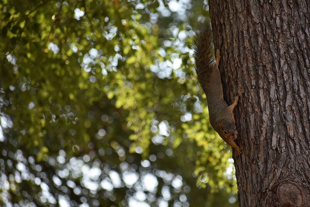 在描述活动 在描述活动