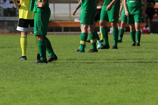 功不仅得益 功不仅得益