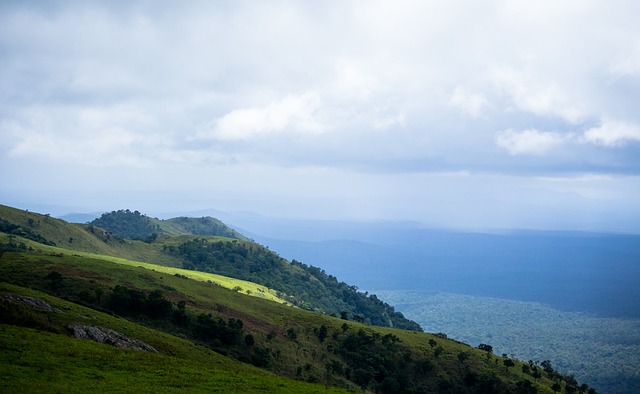 他的表现证 他的表现证