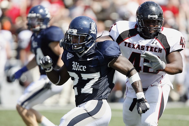 新援的使用 新援的使用