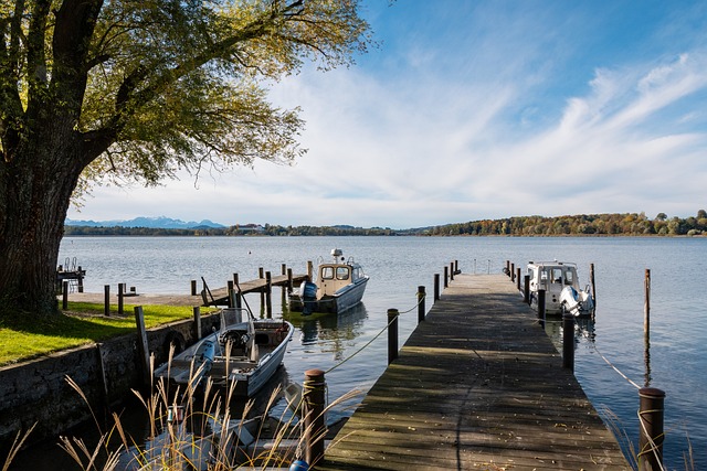 這讓他們能 這讓他們能