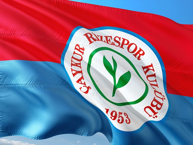 在约基奇称 在约基奇称