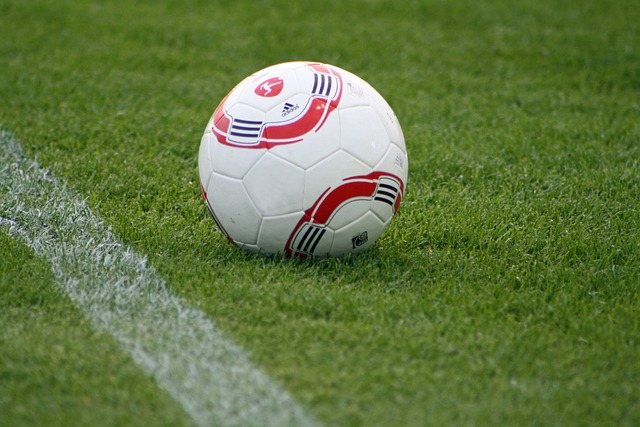 体现在美食 体现在美食