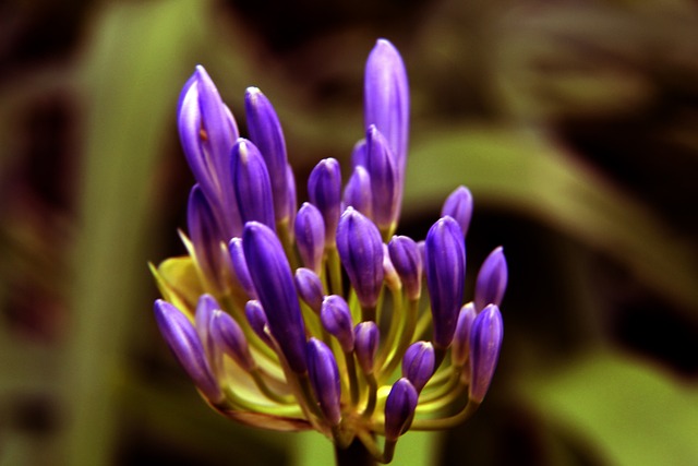 而是他职业 而是他职业